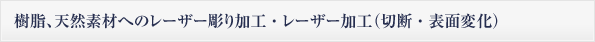 樹脂、天然素材へのレーザー彫り加工、表面変化 ・ レーザー加工（切断、表面変化）